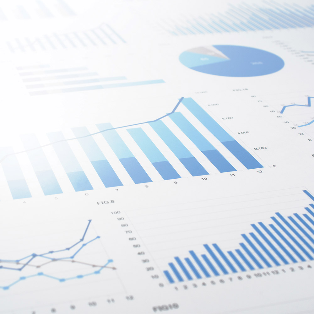 Patent and Trademark Valuation