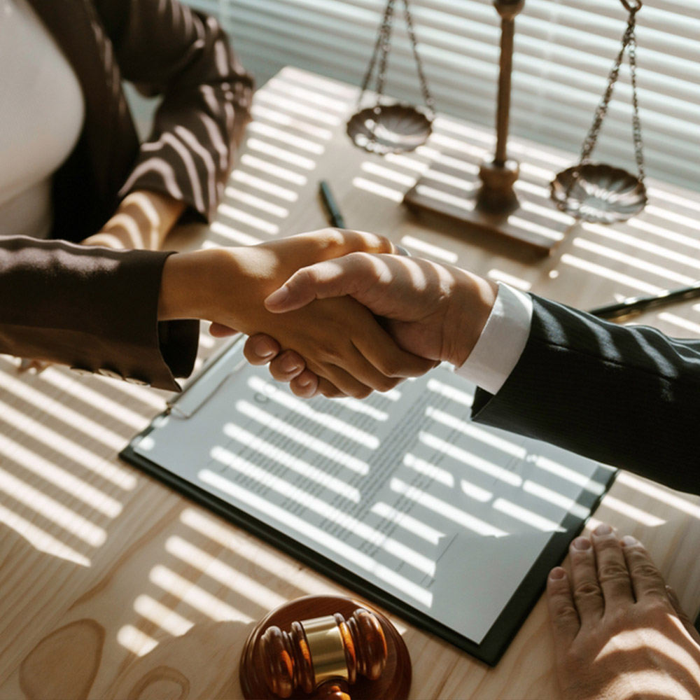 Preparation of Licence Agreements